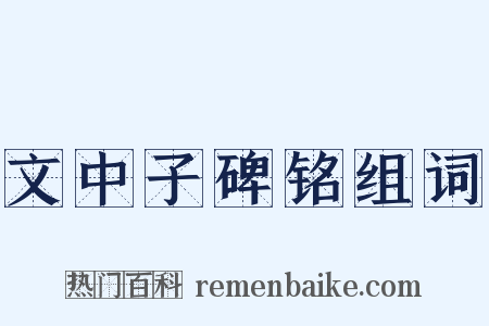 文中子碑铭组词是什么意思的图片